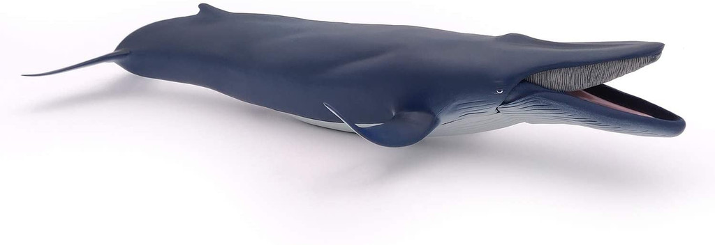 Blue Whale - Papo
