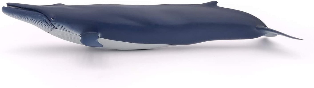 Blue Whale - Papo