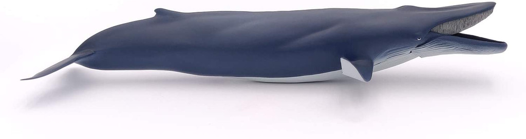 Blue Whale - Papo