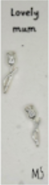 Earrings - Lovely Mum Tulip