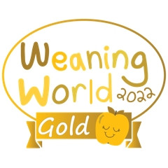 Coverall Feeding Bib Dinosaur