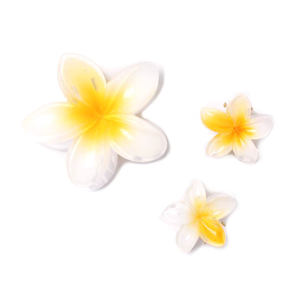 Brightly Coloured Hibiscus Flower Clamp Set