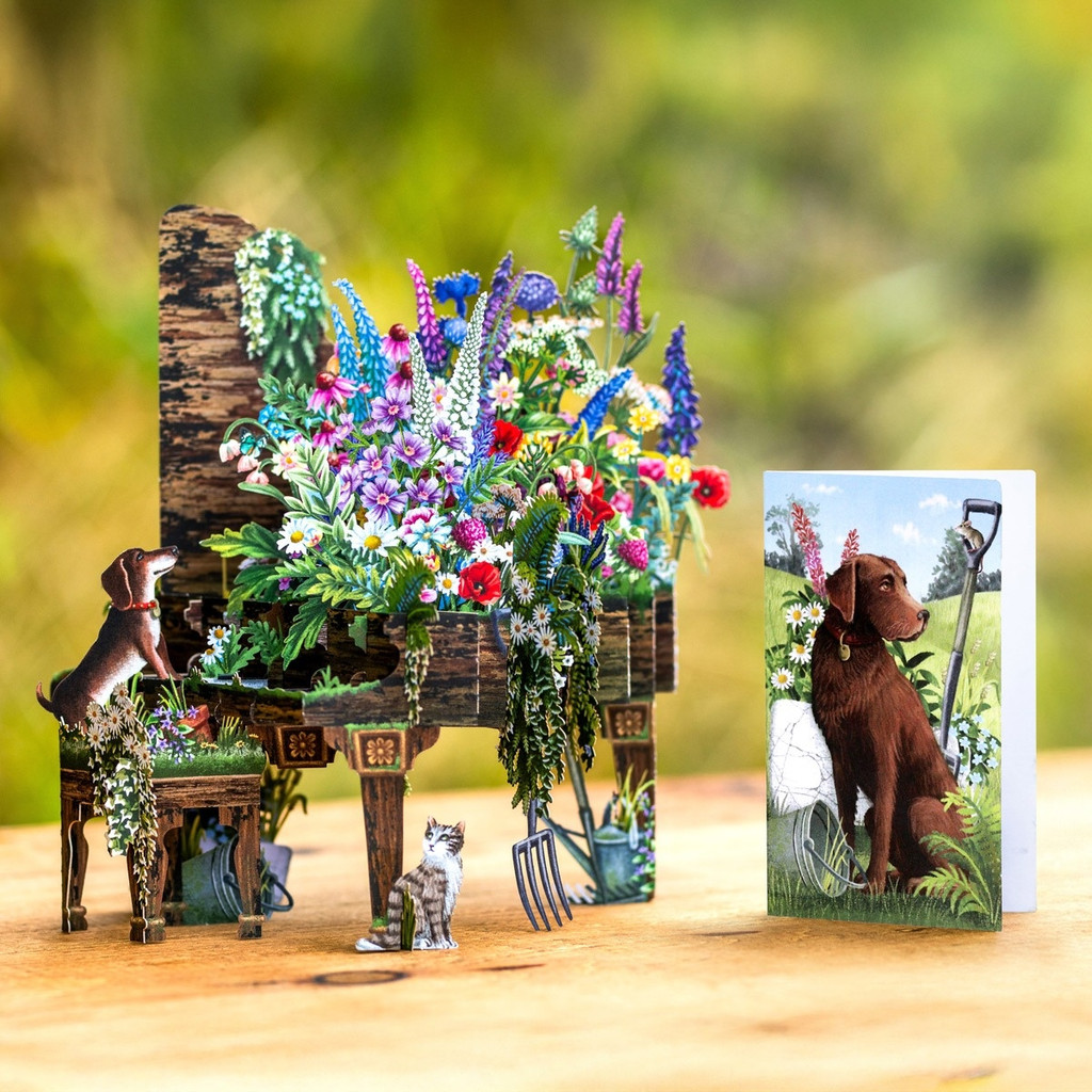Abandoned Grand Piano - 3D Pop Up Greetings Card 3D049