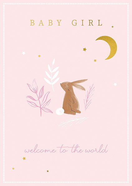 Baby Girl Pink Bunny & Moon AF253A