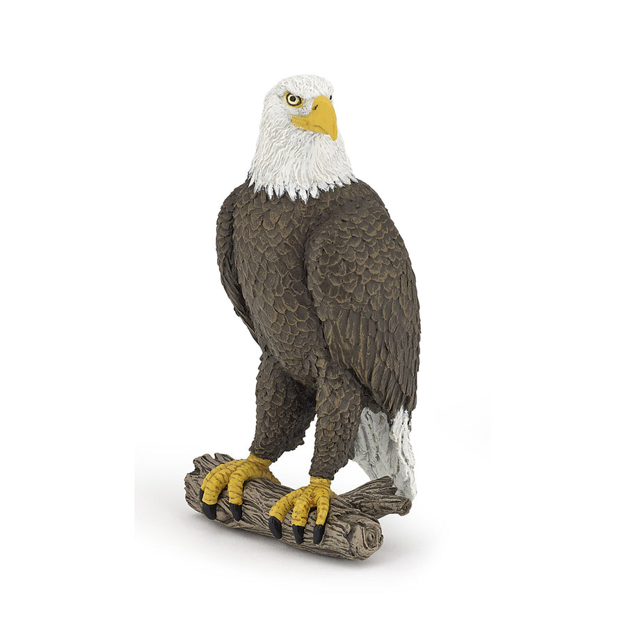 Bald Eagle - Papo