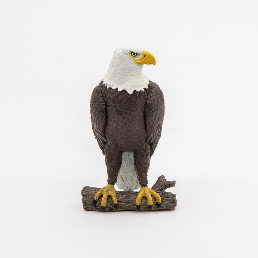 Bald Eagle - Papo