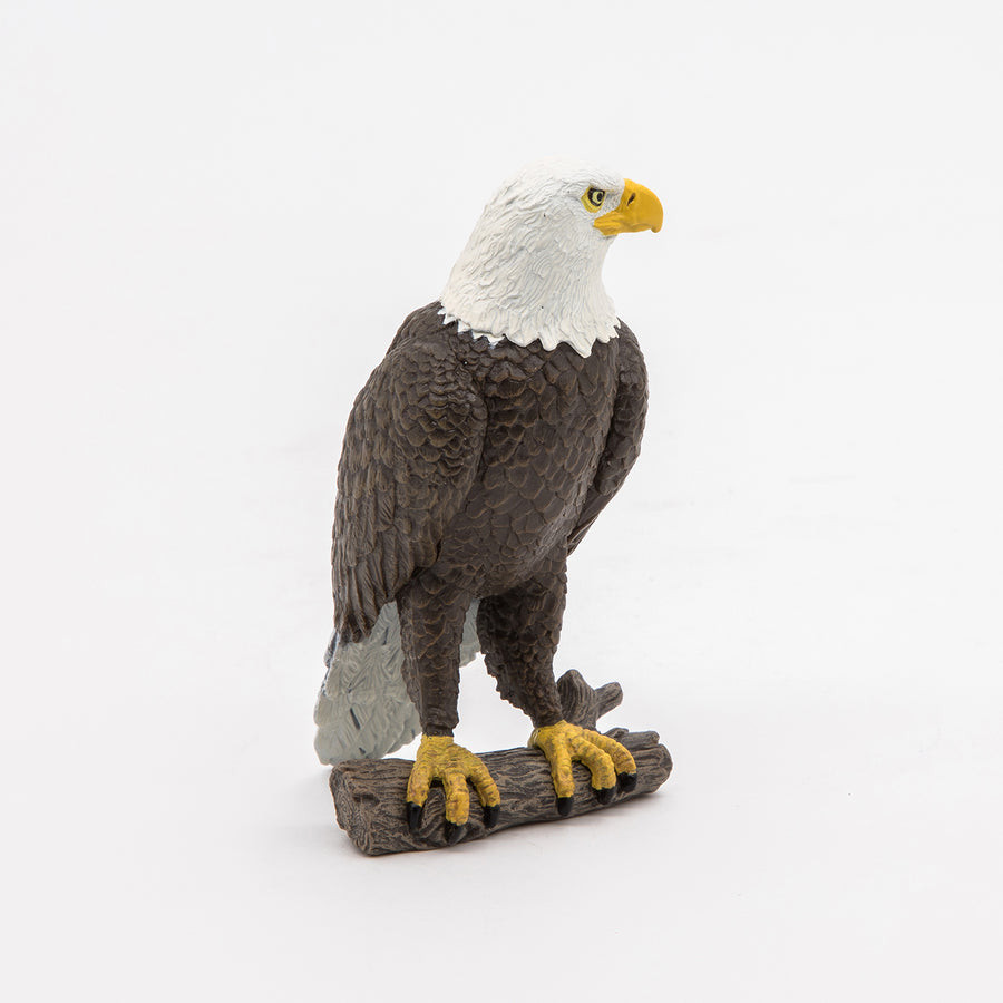 Bald Eagle - Papo