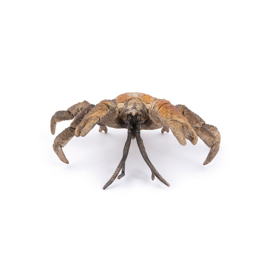 Coconut Crab - Papo