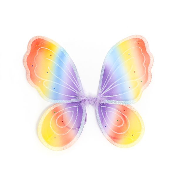Rainbow Net Fairy Wings