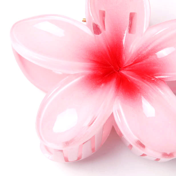 Brightly Coloured Hibiscus Flower Clamp Set