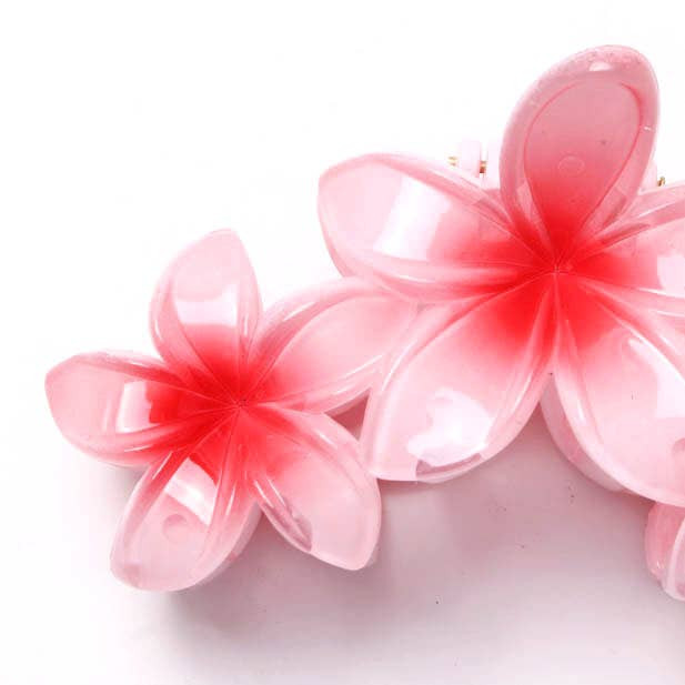 Graduated Hibiscus flower shaped hair clamp