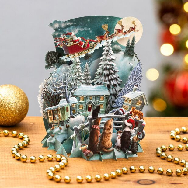 It’s Santa 3D Christmas Card XTW035