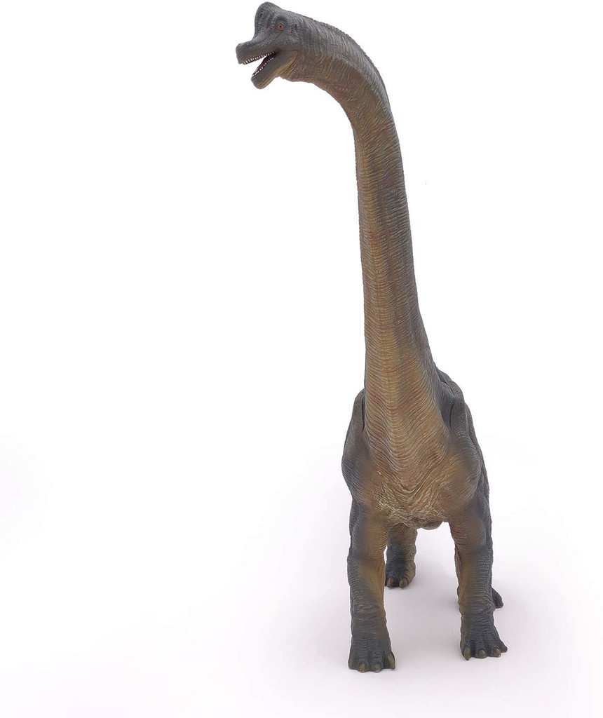 Brachiosaurus - Papo