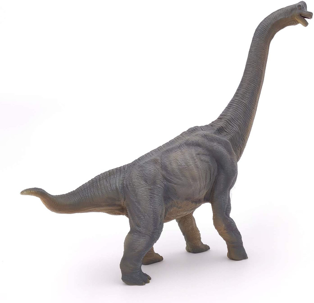 Brachiosaurus - Papo