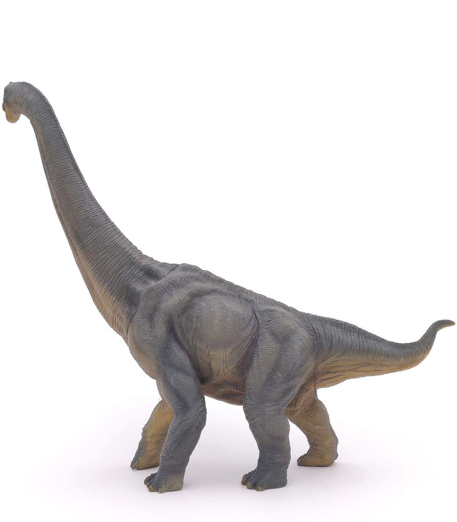 Brachiosaurus - Papo