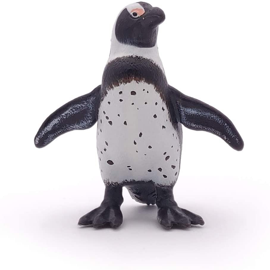 African Penguin - Papo