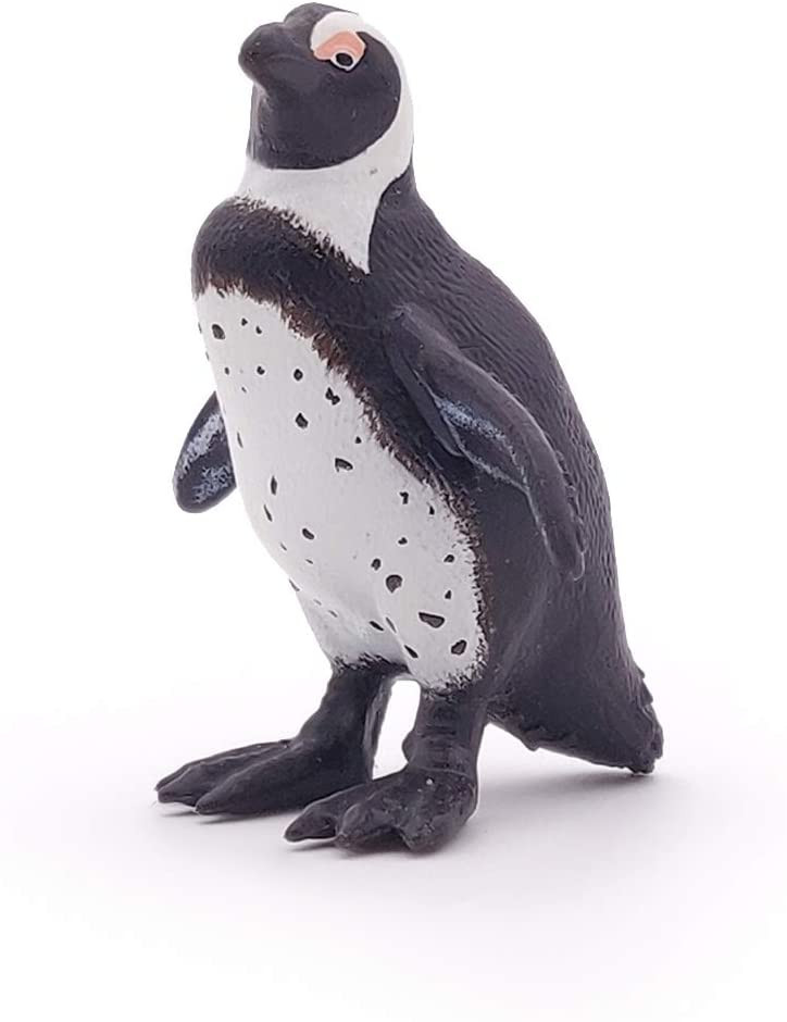 African Penguin - Papo
