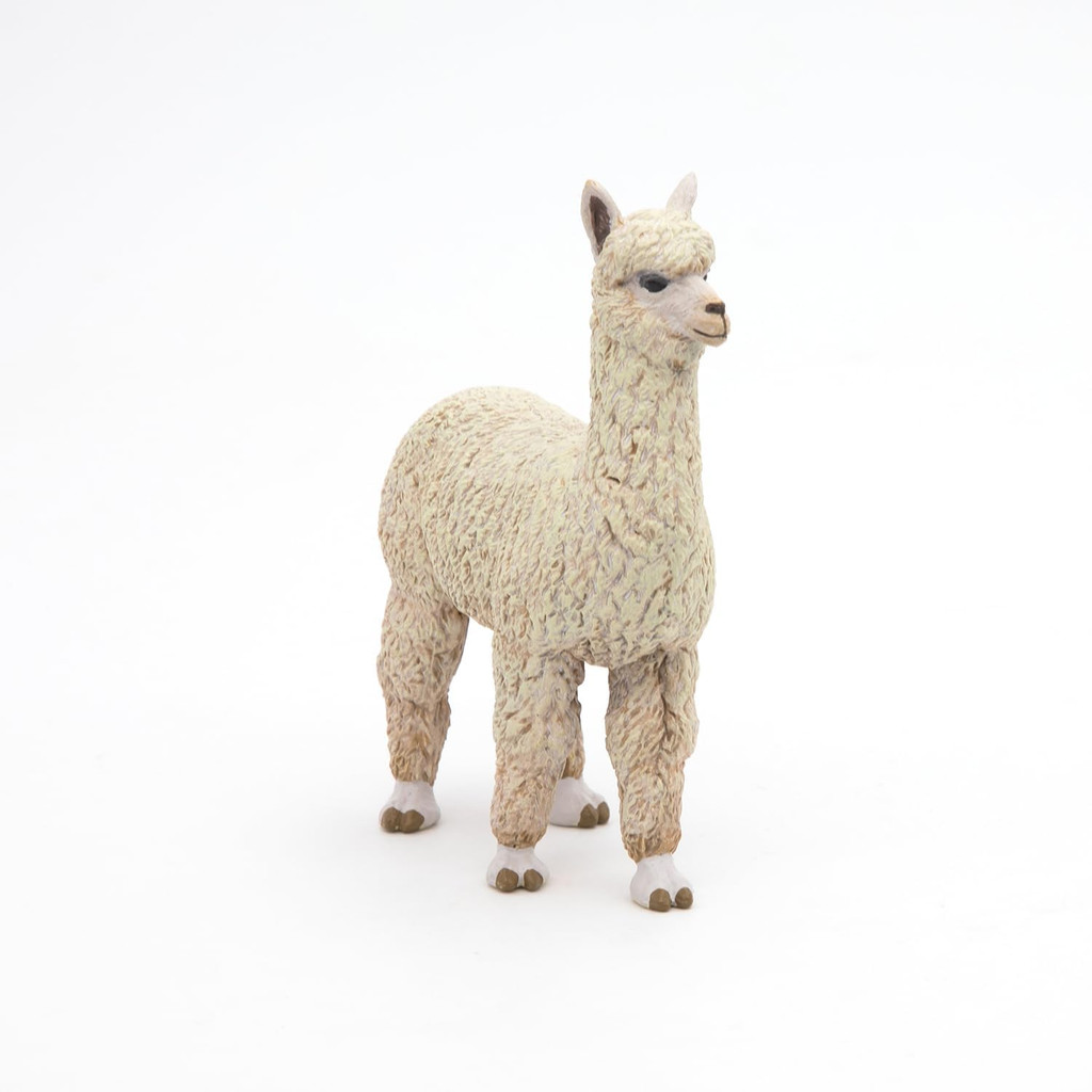 Alpaca - Papo