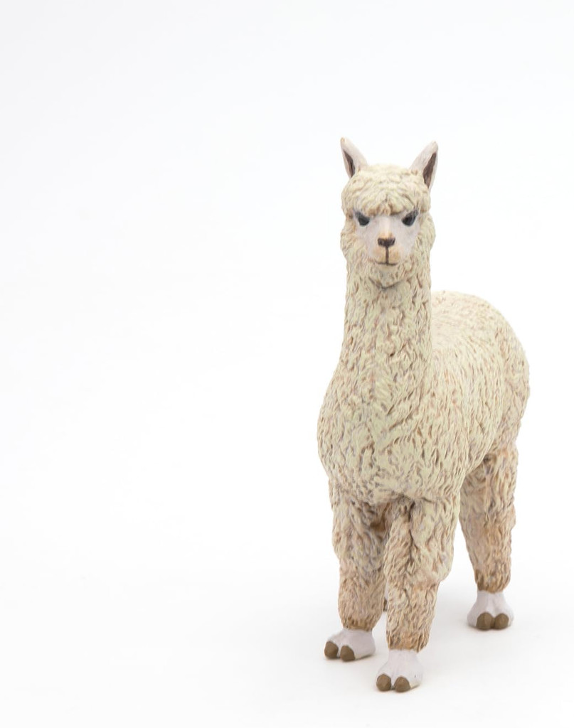 Alpaca - Papo