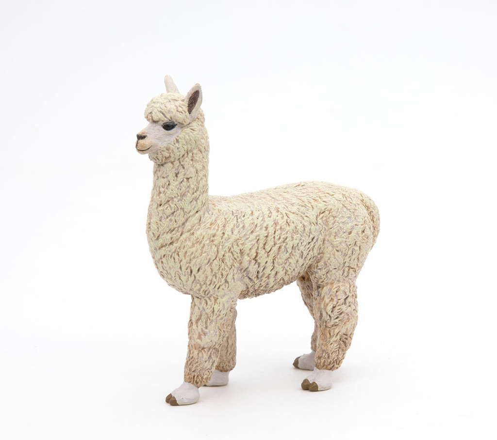 Alpaca - Papo