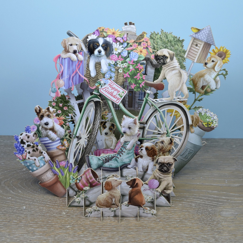 Happy Birthday Puppies - Top of the World Pop Up Greetings Card TW022