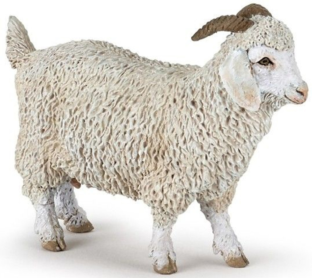 Angora Goat - Papo