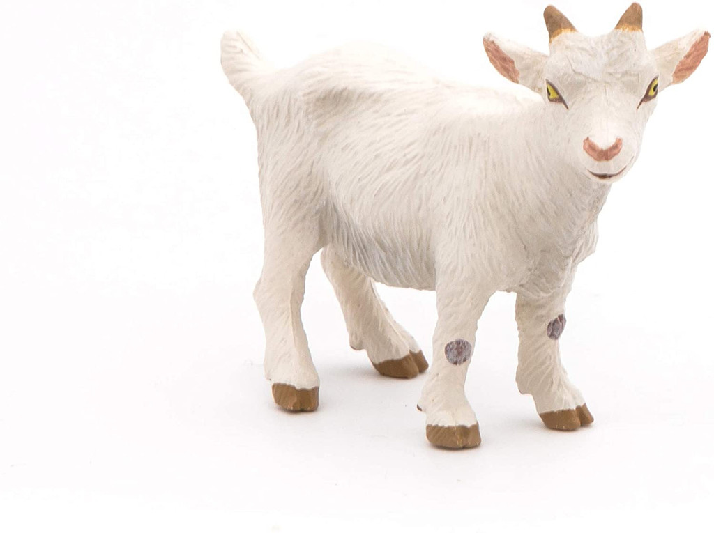 White Kid Goat - Papo