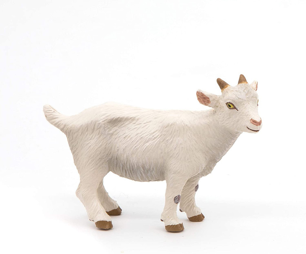 White Kid Goat - Papo