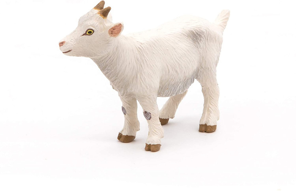 White Kid Goat - Papo