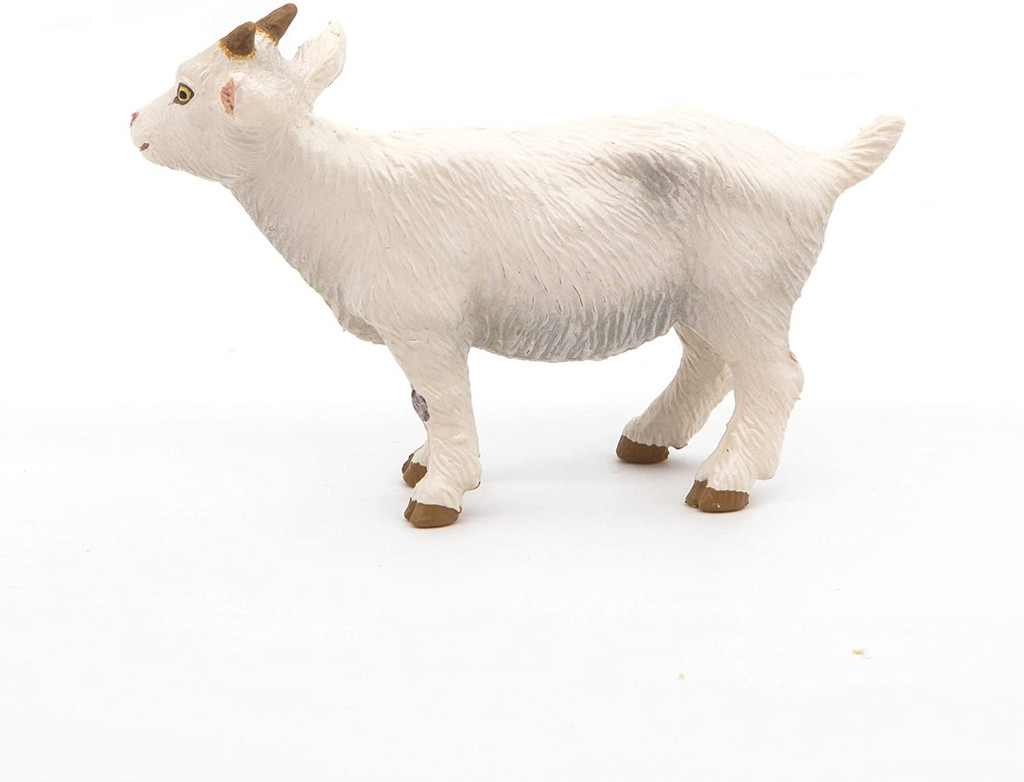 White Kid Goat - Papo