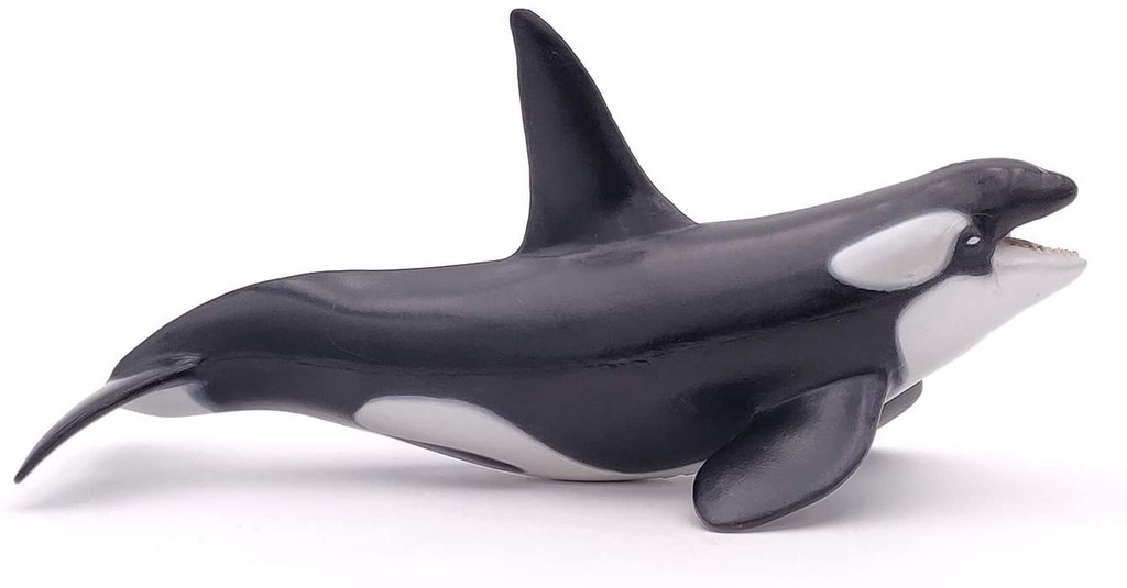 Killer Whale - Papo