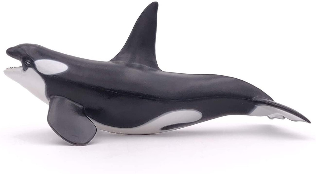 Killer Whale - Papo