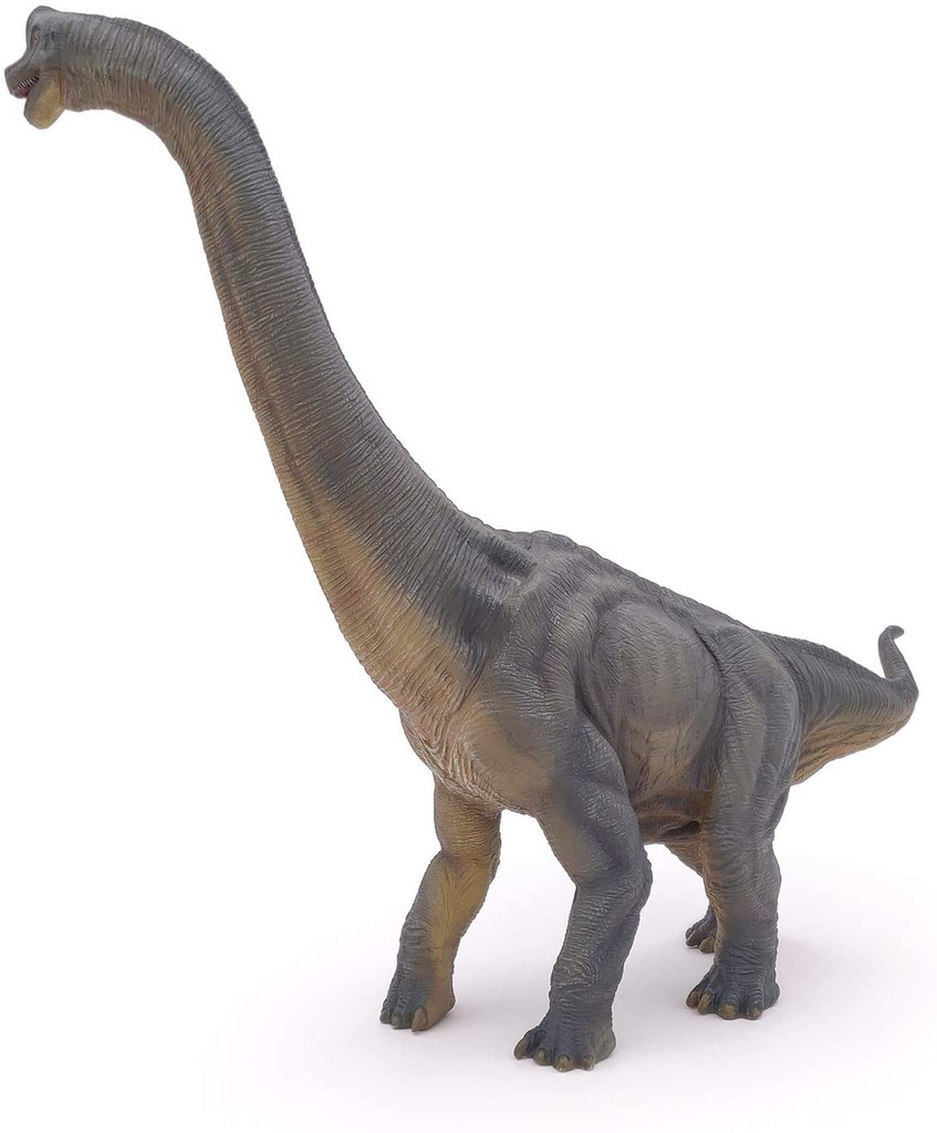 Brachiosaurus - Papo