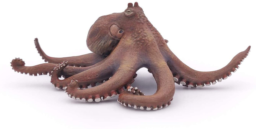 Octopus - Papo