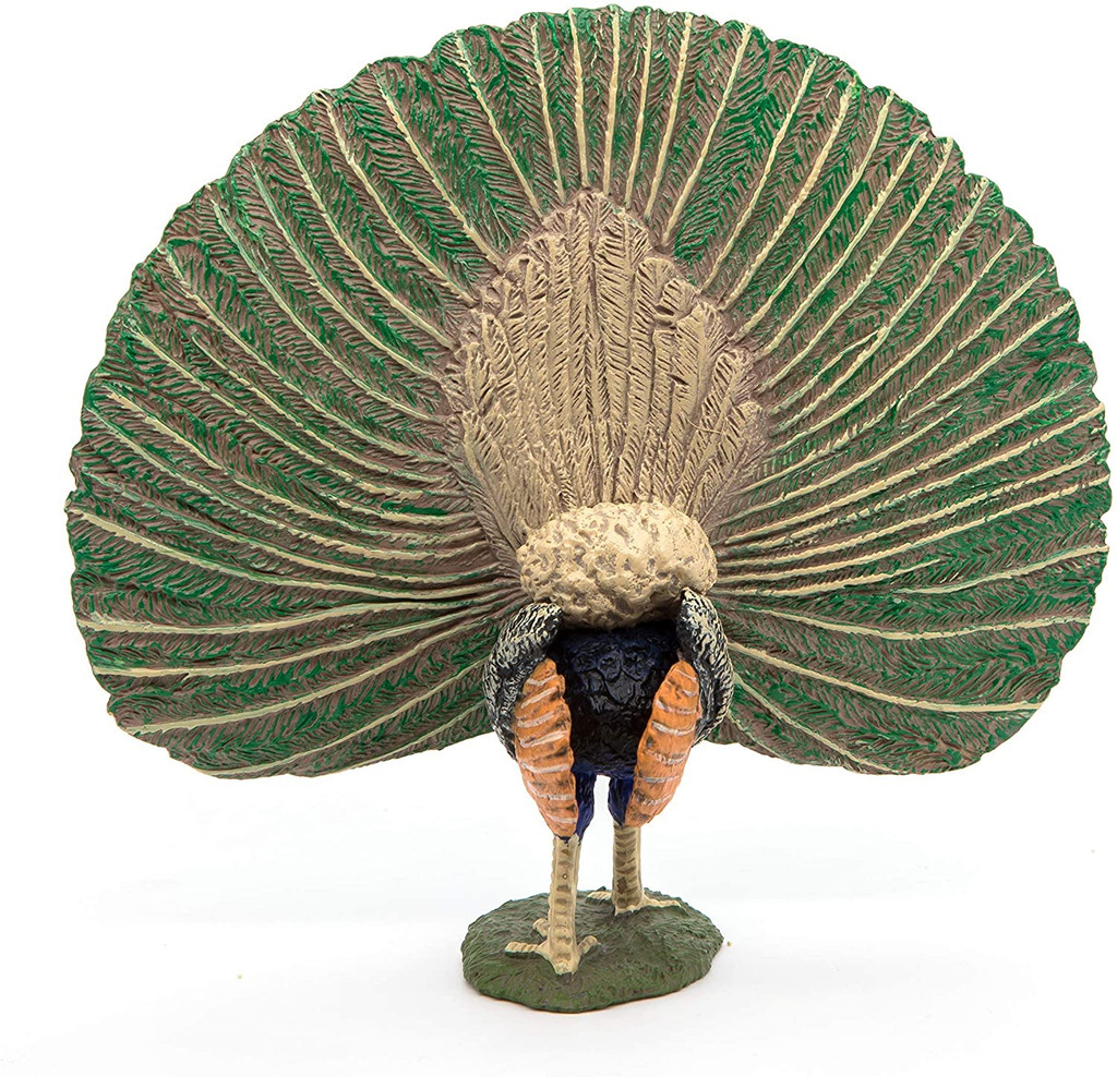 Peacock - Papo