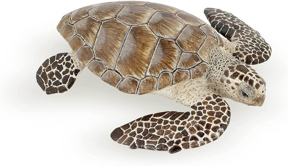 Loggerhead Turtle - Papo