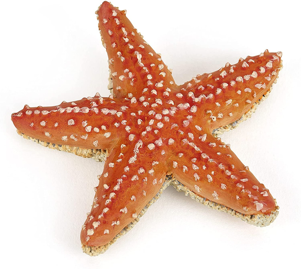 Starfish - Papo