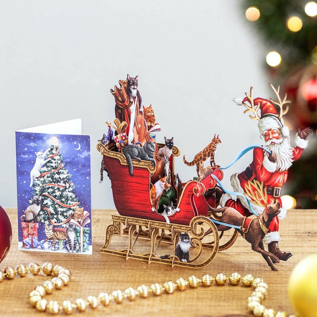 Cat Sleigh - 3D Christmas Card X3D029