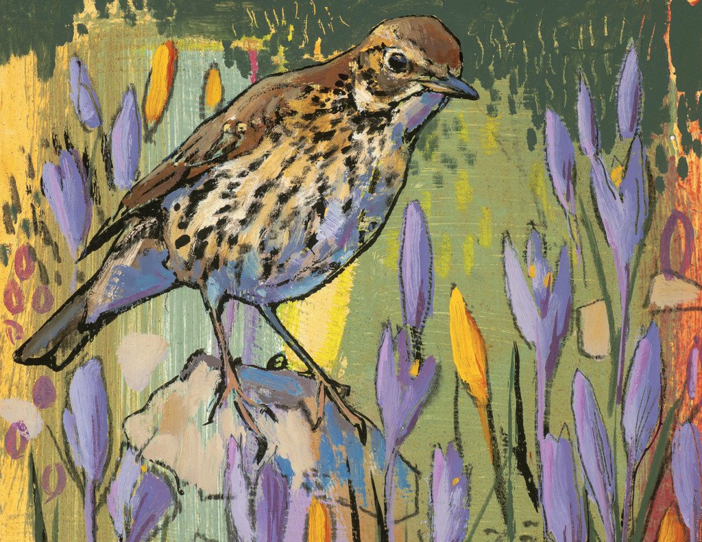 Song Thrush and Crocus Greetings Card