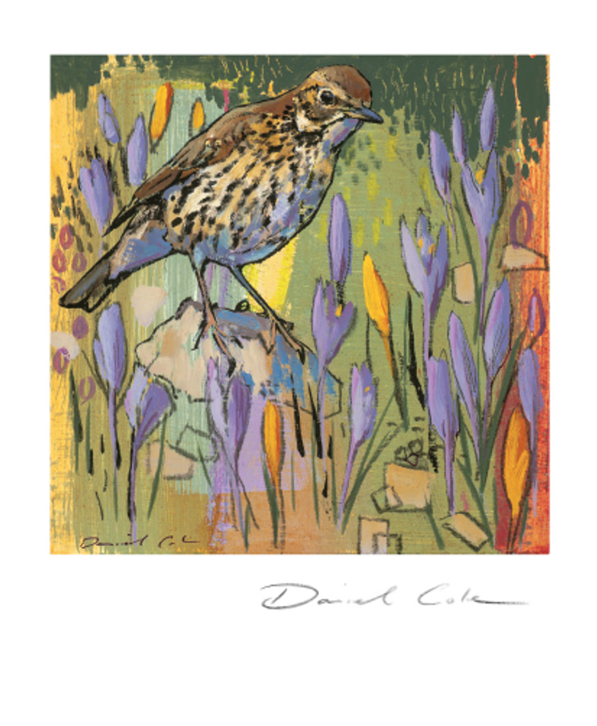 Song Thrush and Crocus Greetings Card