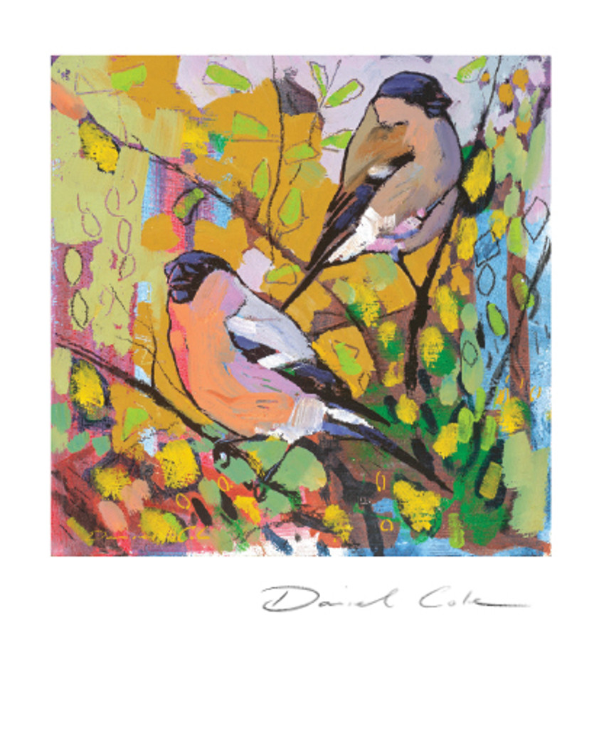 Bullfinches Cock & Hen Greetings Card