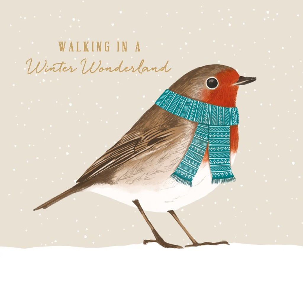 Xmas Card 6 Pack - Robin In Scarf XP390A