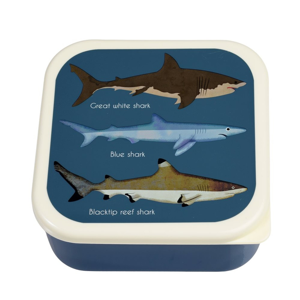 Snack Boxes (set of 3) - Sharks