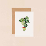 Monstera Blank BIJ63 Monstera Blank BIJ63