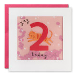 Age 2 Cat Paper Shakies Card PP3269