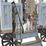 Betty Blue  - 3D Pop Up Greetings Card 3D043
