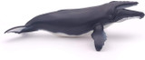 Humpback Whale - Papo