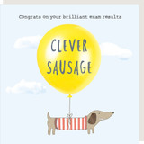 Clever Sausage AC013 Clever Sausage AC013
