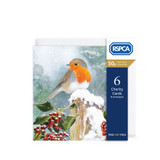 Christmas Robin Charity Cards 6pk XP430A Christmas Robin Charity Cards 6pk XP430A