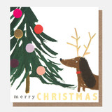 Sausage Dog In Antlers Charity Christmas Card Pack of 8 PNT618